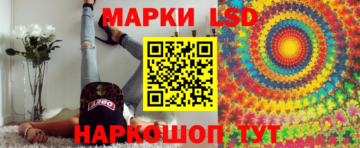 Наркотические марки  Вход с VPN  Наркотические марки 1,5мг  Калининград  наркота  Наркотические марки 1,5мг 
