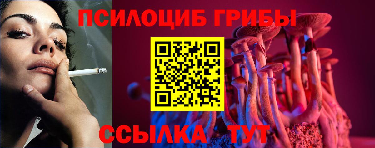 наркота  Вход с VPN  Калининград  Псилоцибиновые грибы Psilocybine cubensis 